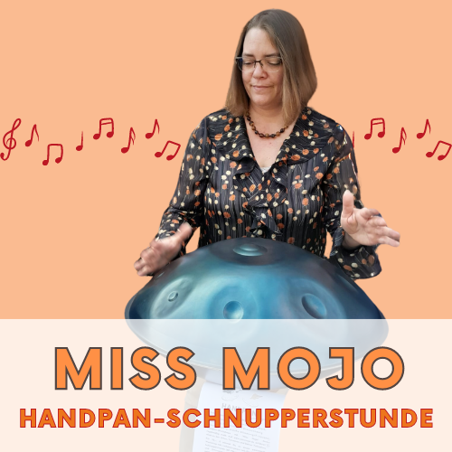 HANDPAN SCHNUPPERSTUNDE, 1 Stunde inkl. Leih-Handpan, ORT: Niebüll
