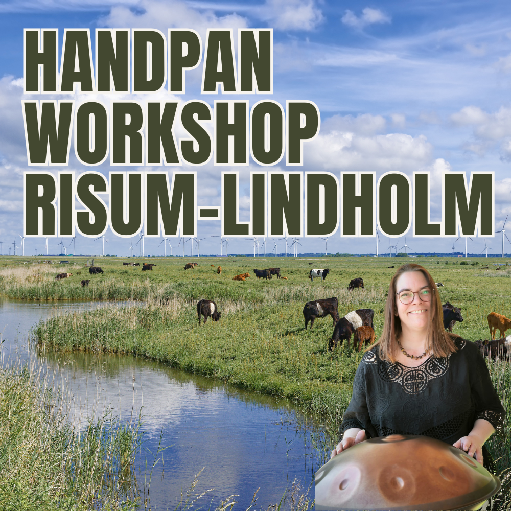 HANDPAN Workshop, 2 Stunden inkl. Leih-Handpan, ORT: RISUM-LINDHOLM (25920)